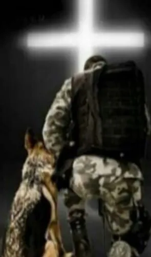 Adestrador de cães