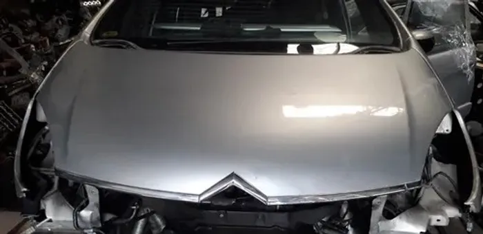 Capo Citroen Xsara Picasso Sem Friso Somente Lataria