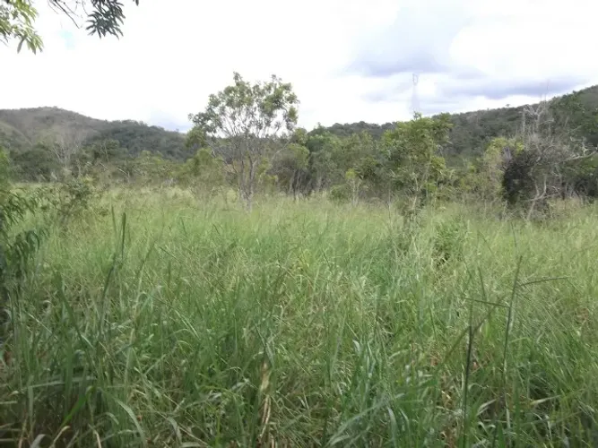 Chácaras 1.000m² as margens do rio Cipó, com água e luz (Temos varias opções).