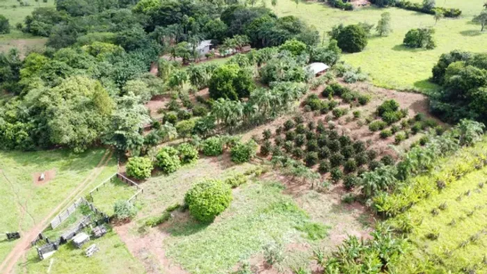 Chácara 30 hectares com nascente de água! Jaraguari MS