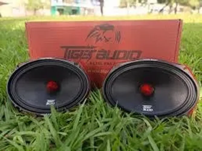 Alto Falante Tiger Áudio 220mg-69 6x9 Polegadas 440 Wrms Par