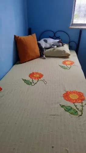 Cama de Solteiro completa