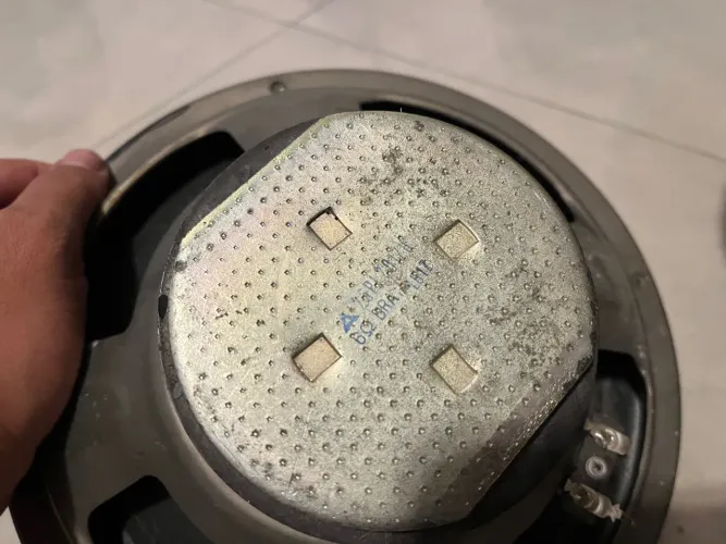 Alto Falante 10 Polegadas 6ohms