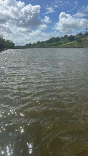 Viveiro de camarão