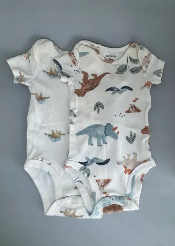Roupas Carters 