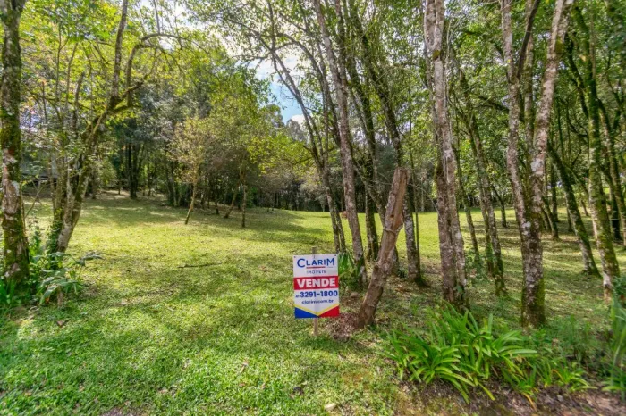 Terreno à venda na Rondinha, Campo Largo 6.806,25 m²
