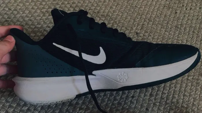 Tênis Nike masculino precision 7 número 40
