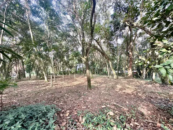 TERRENO 1.472 metros RUA SEM SAÍDA Condomínio Vila de São Fernando Golf Club - Parque Rinc
