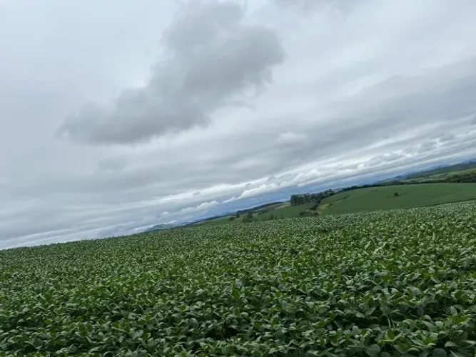 Belíssima Fazenda de 110 Hectares, no Município de Minduri/MG