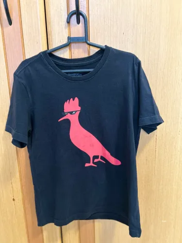 Camiseta infantil 