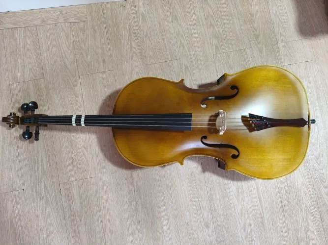 Violoncelo 4/4 Vogga