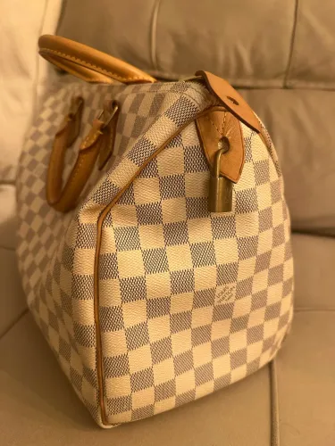 Louis Vuitton Speedy 