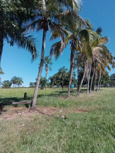 CHACARA GUAPÓ-GO