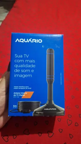 Antena interna