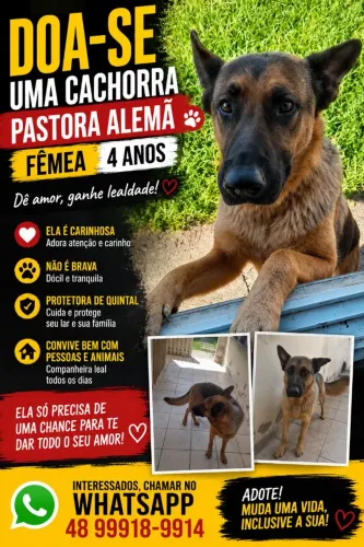 Doa - se cachorra pastora alemã
