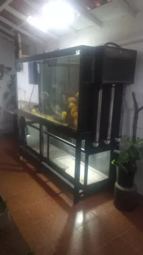 Aquário gigante de 2000 litros