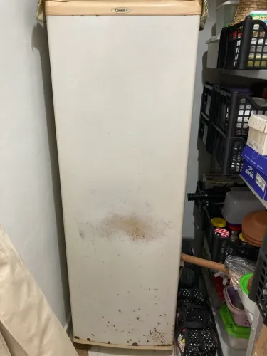 Vendo Freezer Vertical 190l com 6 gavetas 