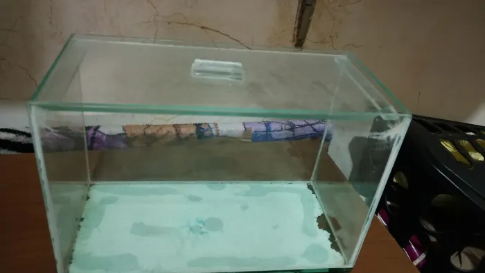 Vendo aquário usado mas em bom estado tem 30 cm de largura