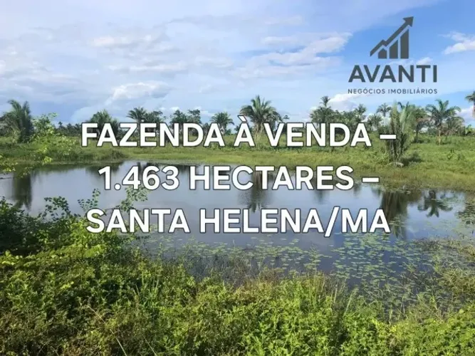 FAZENDA À VENDA - 1.463 HECTARES - SANTA HELENA/MA