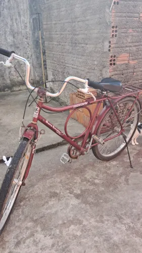 Bicicleta monarca 
