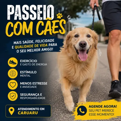 Passeio com Cães | Caruaru