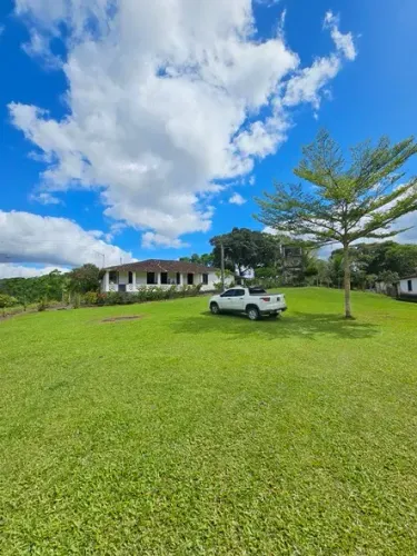 Vendo fazenda produtiva de cacau