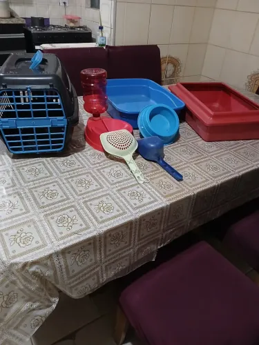 Kit pet usados em boa conservação