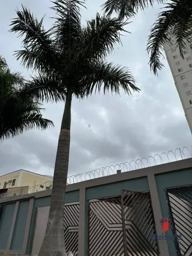 Imóvel para aluguel tem 40 metros quadrados com 1 quarto em Vila das Jabuticabeiras - Taub