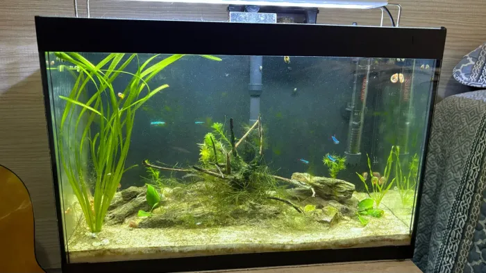 Aquário 30 litros + acessórios