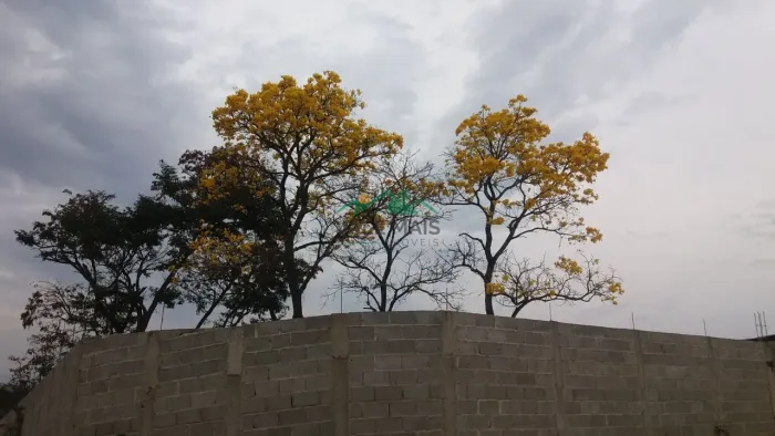 Terreno à venda, 1100 m² por R$ 220.000,00 - Parque das Garças - Guaratinguetá/SP