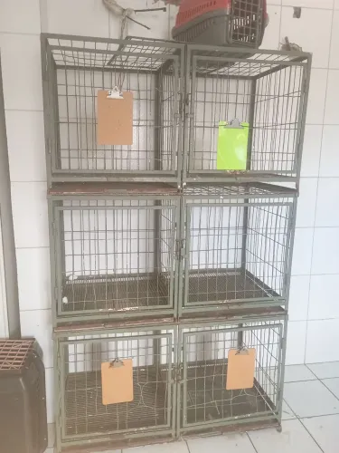 Gaiola pra tosa ou clínica pet