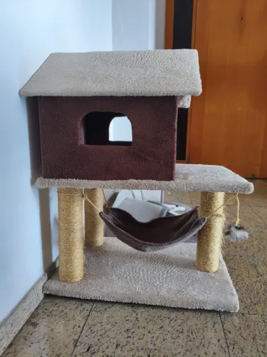 Casa para gato