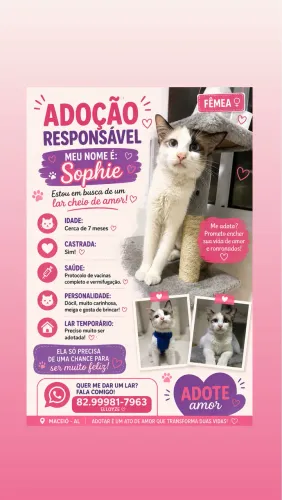 Adoção Responsável