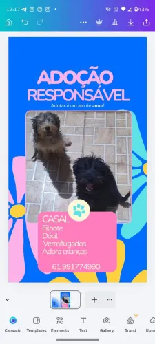 Doação