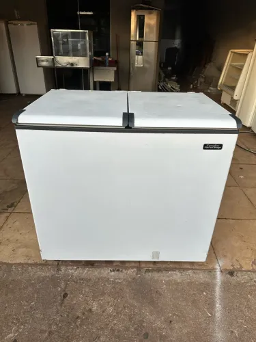 Freezer Esmaltec 305 litros Semi novo (Entrego)