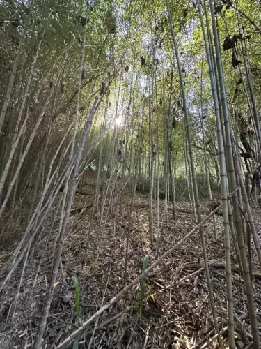Terreno 1000m² Uma Hora de São Paulo Capital