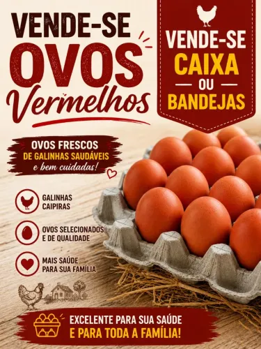 Vendo ovos