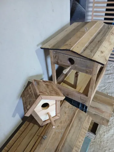 Comedor de pássaros