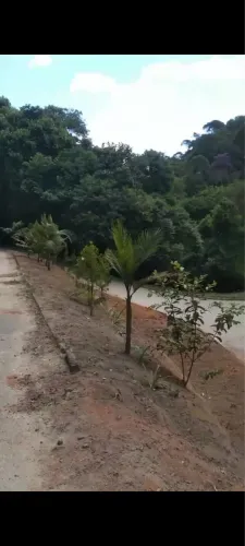 Vendo Terreno em Domingos Martins em São Miguel