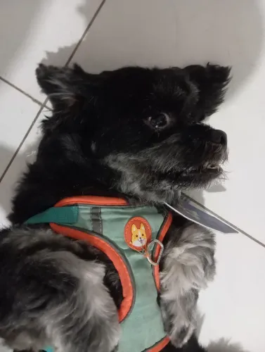 Doação responsável 