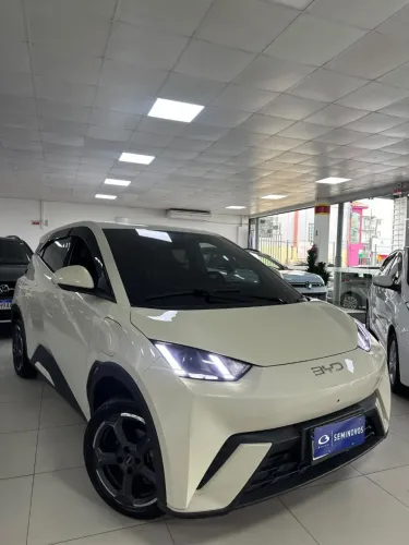 BYD Dolphin Mini (Elétrico) 2025