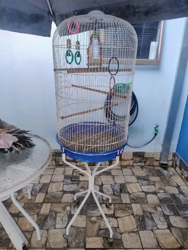 Viveiro para calopsita com pedestal 