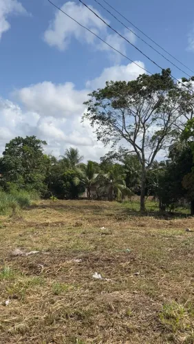 Vendo Terreno as Margens da BR 163