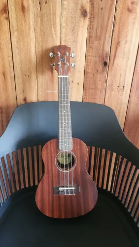 Ukulele Seizi