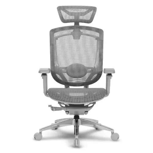Cadeira DT3 Iryna Grey Frame