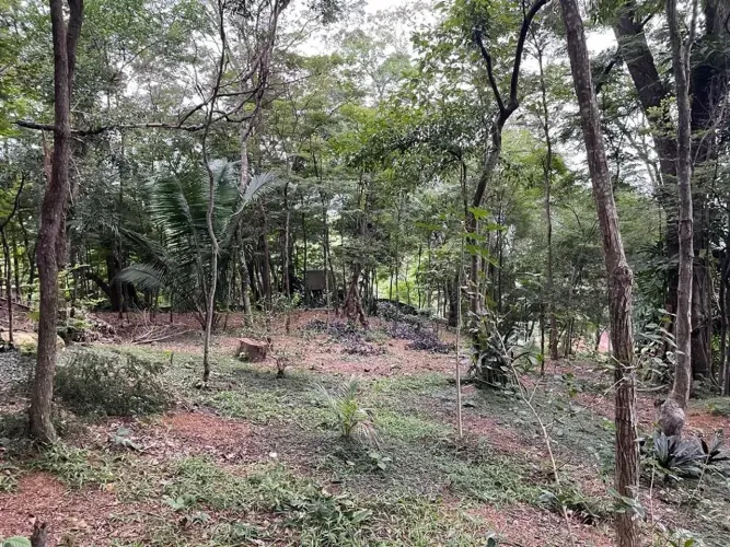 Lote/Terreno para venda  5000 metros quadrados  Freguesia (Jacarepaguá) - Rio de Janeiro -