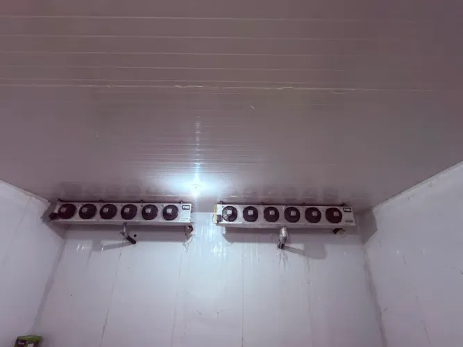 Câmara Fria Para Congelados