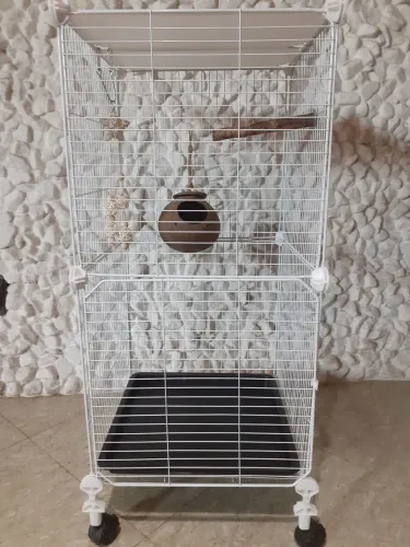 Vendo uma gaiola para calopisita