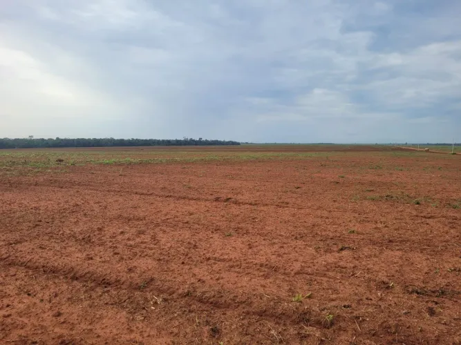 Fazenda 4.892hec a 60km de Sorriso MT. 60 milhões.