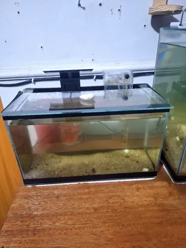 Vendo aquário de 10 litros completo com bomba e luminária